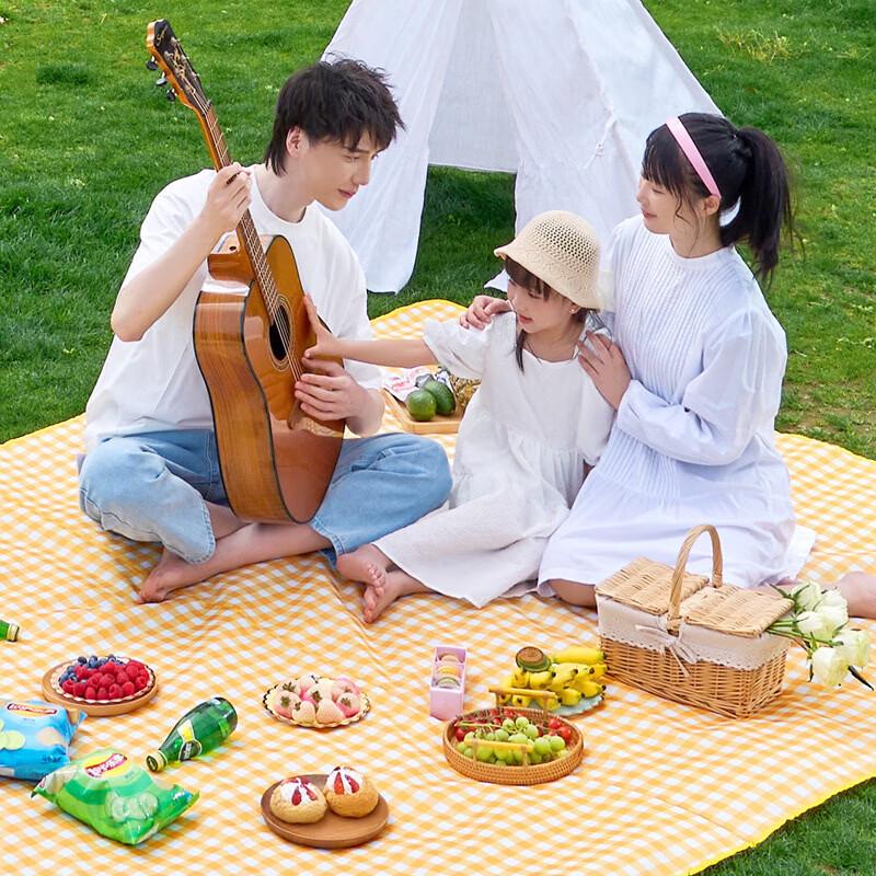 Quyoubang Joyful Grid Outdoor Picnic Mat