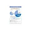 Let's do it! Blue Return 2027 Tax Saving Filing Standard Pack Windows Version