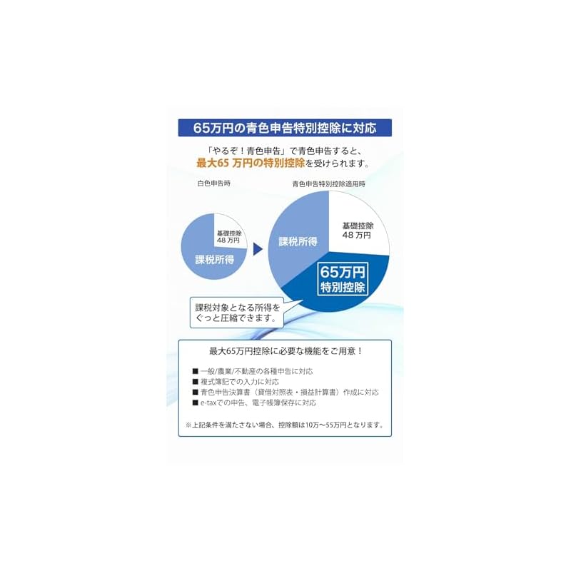 Let's do it! Blue Return 2027 Tax Saving Filing Standard Pack Windows Version