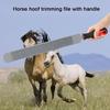 Professional High Carbon Steel Horse Hoof Trimming File Knife Rasp Double Sided Farrier Tool