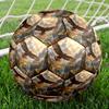 1pc Eagle Mountains Theme Soccer Ball Football, Size 5, Lightweight PVC, Outdoor Training Soccer Ball,Sports Gift t6143