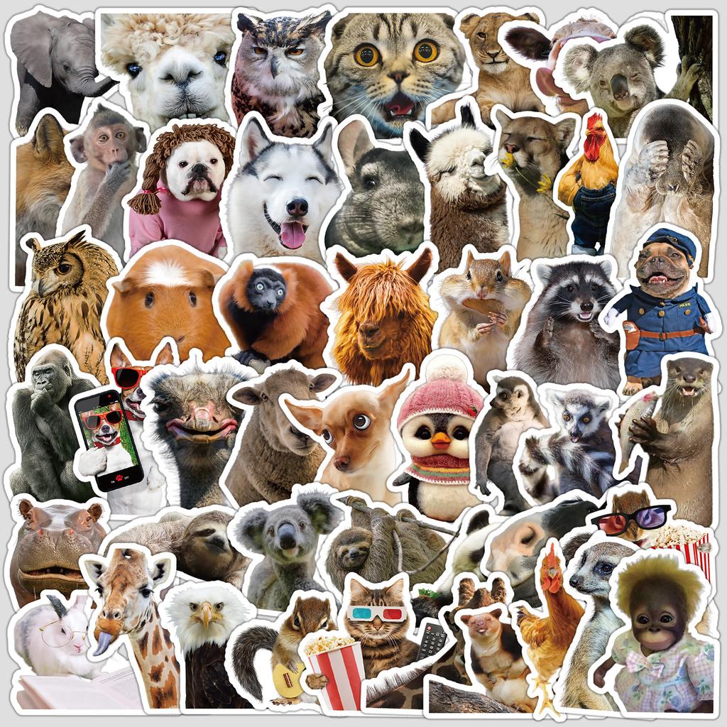 50 Cute Animal Expressions Graffiti Stickers Water Cup Suitcase Waterproof Decorative Stickers Cartoon Animal Stickers