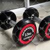 Double-Layer Dumbbell Storage Rack