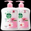 Dettol Moisturizing Antibacterial Hand Wash (6 x 500g)