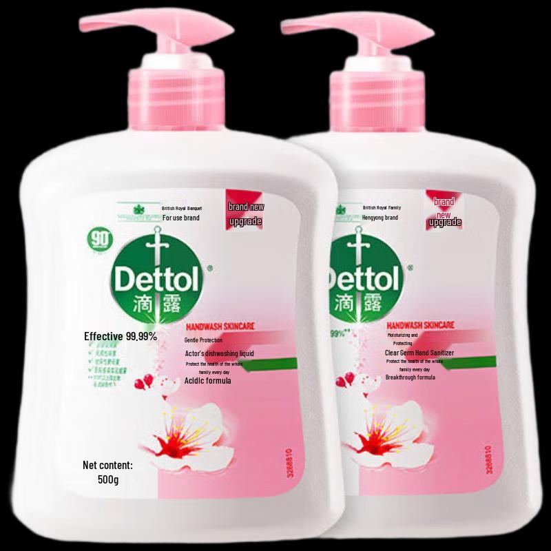 Dettol Moisturizing Antibacterial Hand Wash (6 x 500g)