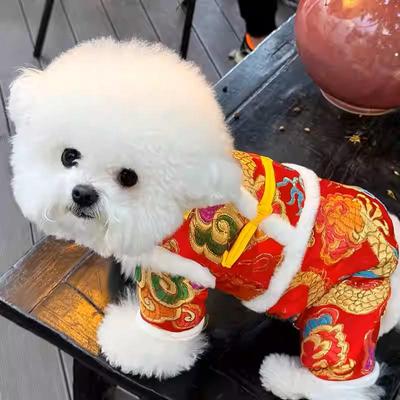 Roupa e sapatos – Camisolas com capuz para cães