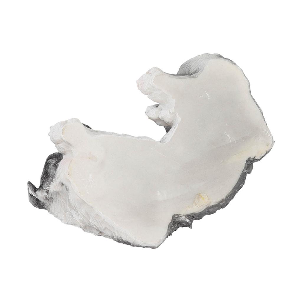 Puppy Beelden Sculpturen Synthetische Hars Waterdicht Border Collie Beeld Ornament voor Tuin