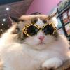 Pet Sunglasses Retro Dogs Round Sunglass Cosplays Accessory for Cats Small Dogs