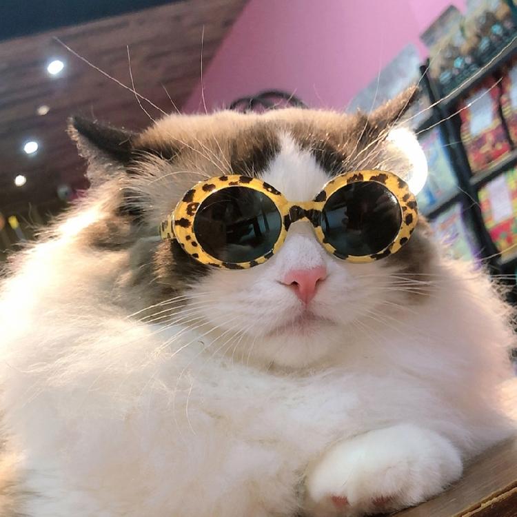 Pet Sunglasses Retro Dogs Round Sunglass Cosplays Accessory for Cats Small Dogs