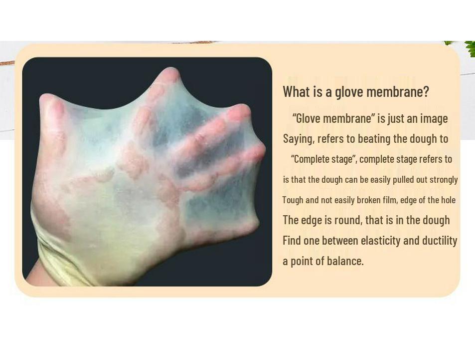 Fully Automatic Small Household Dough Mixer with Intelligent Kneading, Proofing, Beating, and Constant Temperature Fermentation.