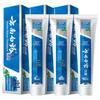 Yunnan Baiyao Classic Wintergreen Toothpaste