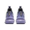Nike LeBron Ambassador 13 EP CQ9329-500