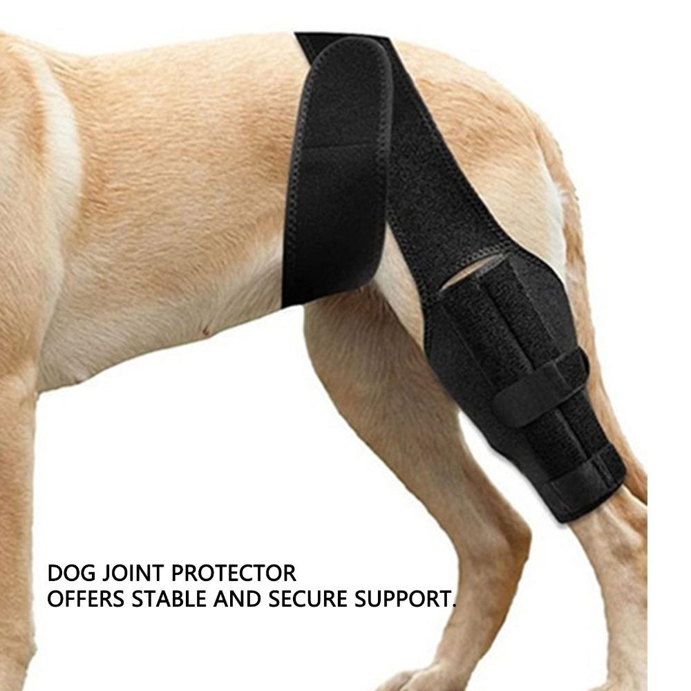 Adjustable Pet Leg Support Flexible Pet Recovery Bandage Dog Leg Protector Leg Injury Care