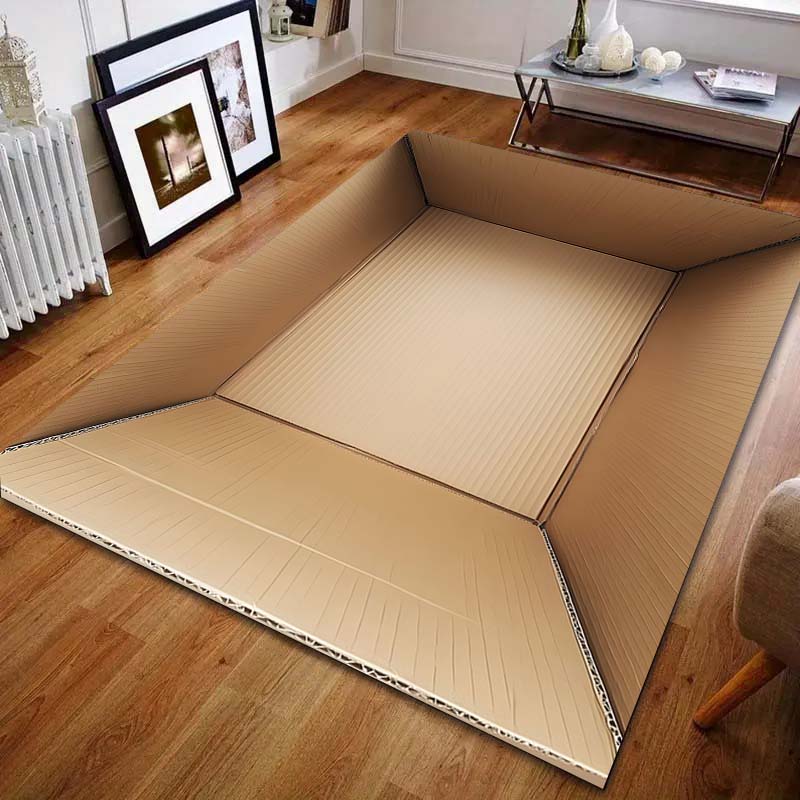 

Interesting Empty Cardboard Box Printed Carpet for Bedroom Living Room Bedside Sofa Floor Mat Modern Home Decor Area Rug 40cm x 60cm