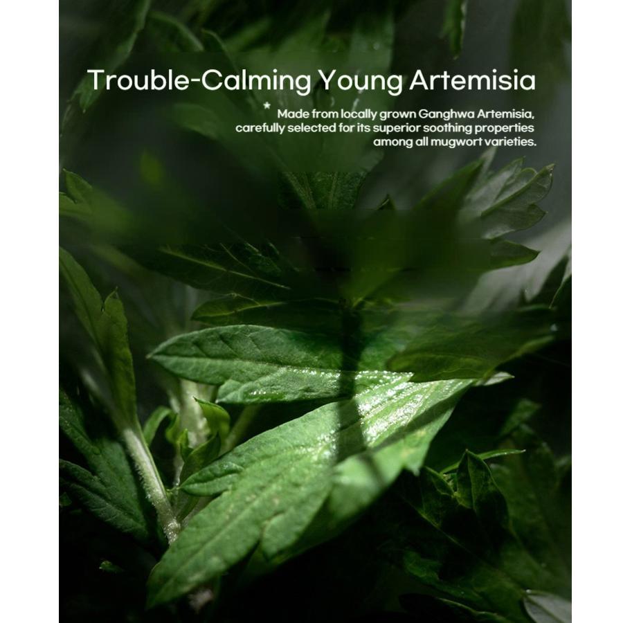 Hanyul Artemisia Feuchtigkeitsberuhigende Creme 55ml