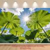 2D Green Lotus Leaves Sky Backdrop, Nature Themed Photography Background Banner