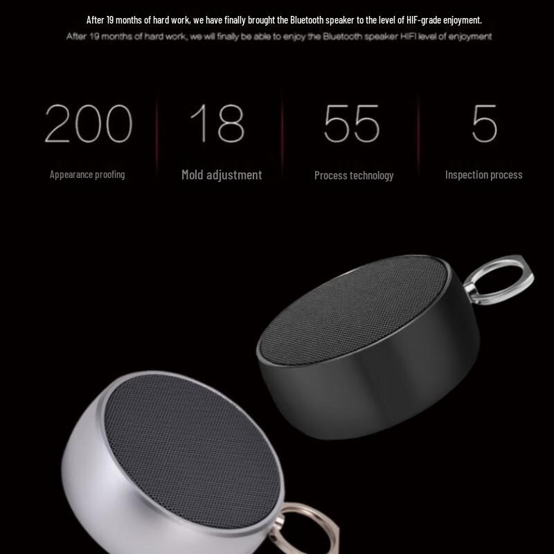 BS02 High-Volume Portable Bluetooth Speaker with Subwoofer for Indoor & Outdoor Use