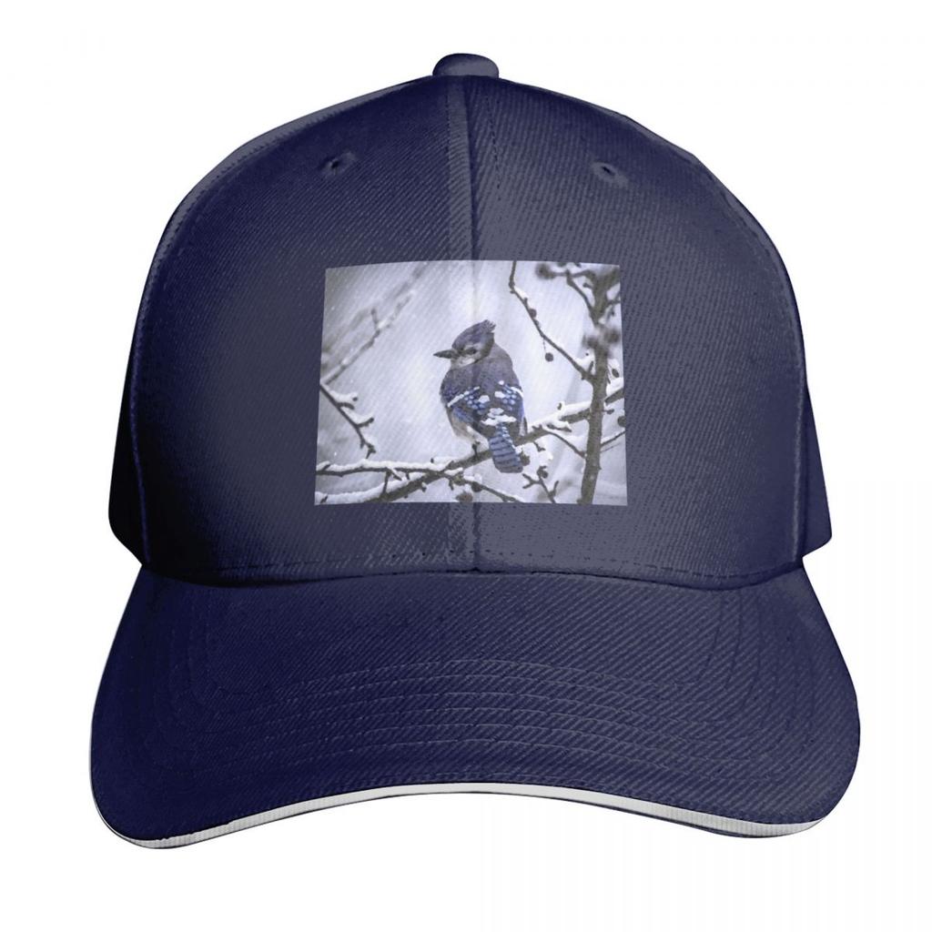 Blue Jay Baseball Cap Visor Beach Bag Golf Cap Sunhat Sun Hats For Women Unisexs