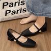 French Maillard Square Head Mary Jane Shoes 2025 Early Spring New Thick Heel One-word Buckle Single Boots Retro Women's Shoes