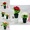 Peony Artificial Plant With Injectionmolded Craft For Home Office And Botanical Display
