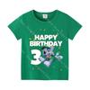 Round Neck Cartoon Cotton T Shirt for Boys Girls Cute Rocky Summer Birthday Number Tee Shirt Clothes Anime Tops Gifts