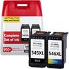 Cartouche d'encre XL - ARNUSA - PG-545 Noir & CL-546 Couleur - 500 pages - Pack de 2