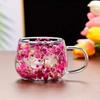 Double Insulated Double Wall Mug Coffee Tea Cup Clear Glass Cup Dried Flower Glass Cup  Household