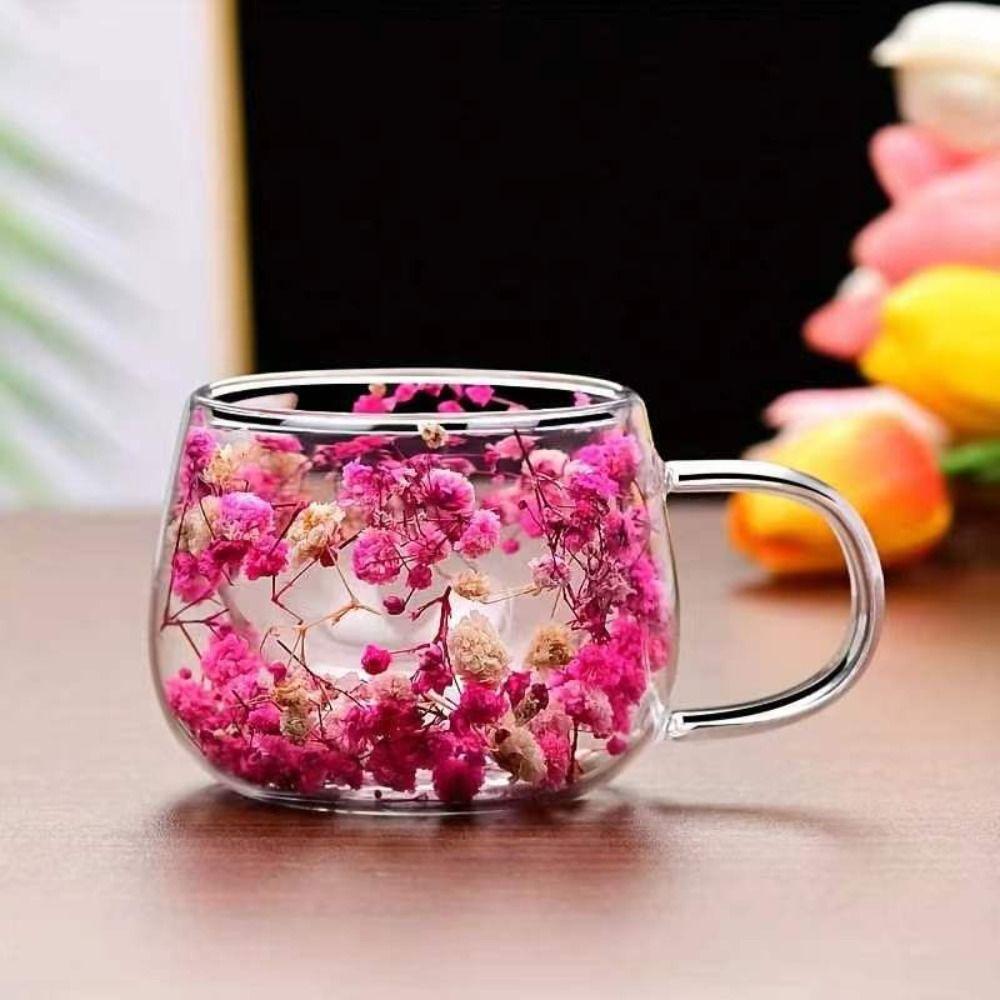 Double Insulated Double Wall Mug Coffee Tea Cup Clear Glass Cup Dried Flower Glass Cup  Household