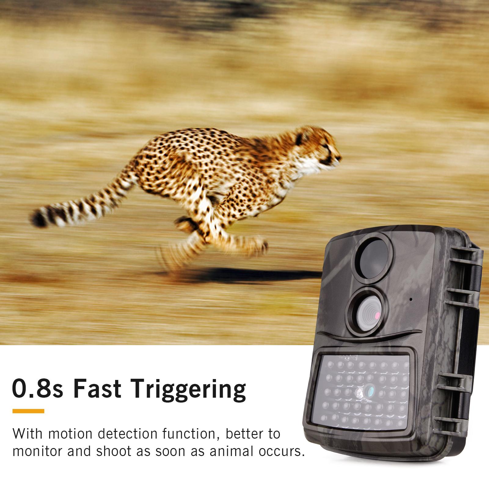 

Пробная камера для дикой природы FHD1080P, 0,8 с, ИК-подсветка ночного видения, IP54, водонепроницаемая, внешняя память 32 ГБ