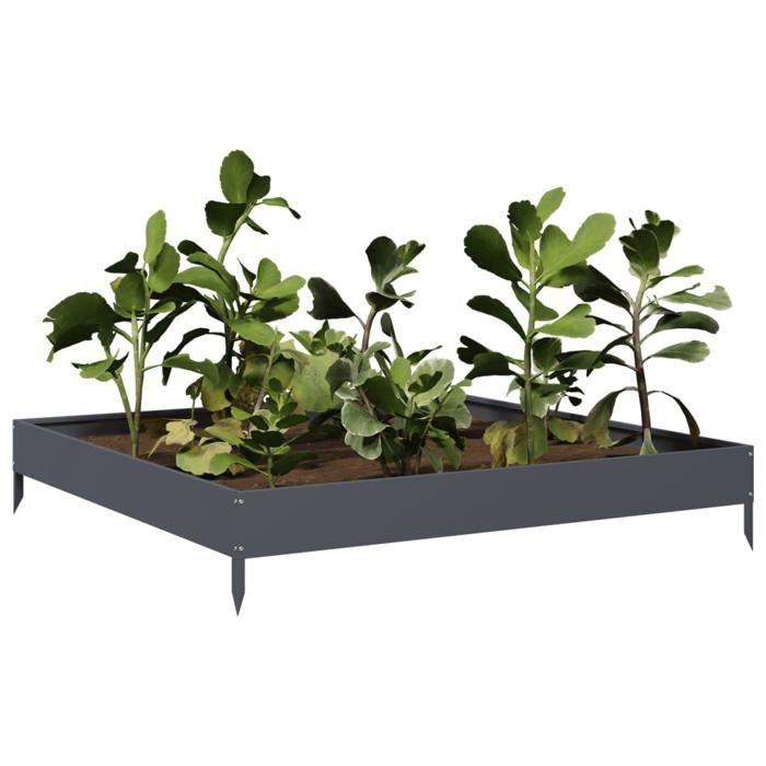 VidaXL Lit surélevé de jardin anthracite 100x100x18,5 cm acier 851012