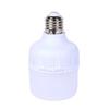Industrial Waterproof 50W Low Voltage LED Bulb