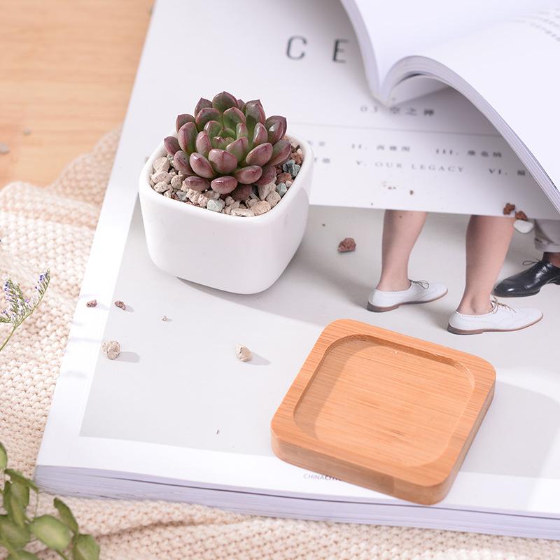 Geometic White Ceramic Square Bonsai Planter Little Succulent Flowerpots Modern Small Cactus Vases Bamboo Tray Office Home Decor