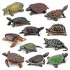 Realistic Turtle Action Figure Simulation Animals Figurines Ocean Life Model Ornaments Toys For Children
