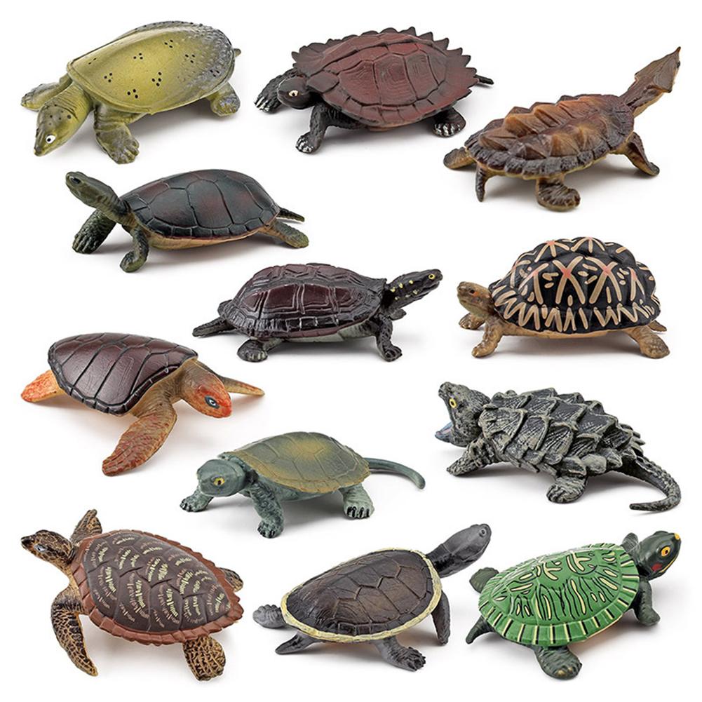 Realistic Turtle Action Figure Simulation Animals Figurines Ocean Life Model Ornaments Toys For Children