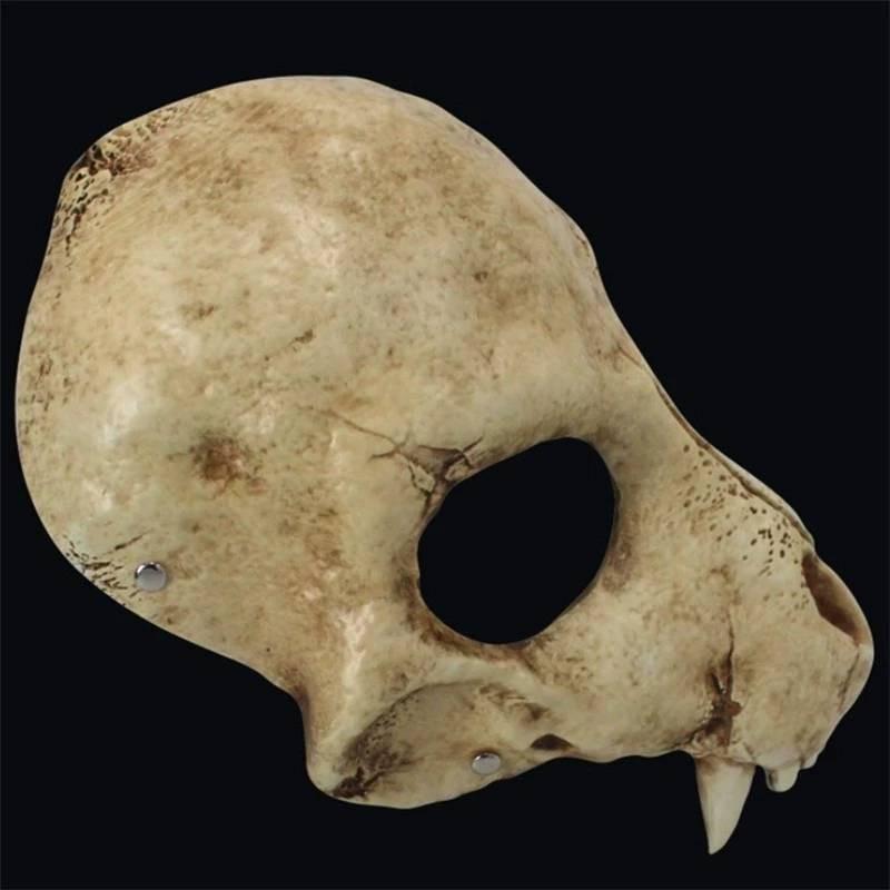 Skull Wolf Mask Horror Prop With Resin Construction For Cosplay And Themed Celebrations