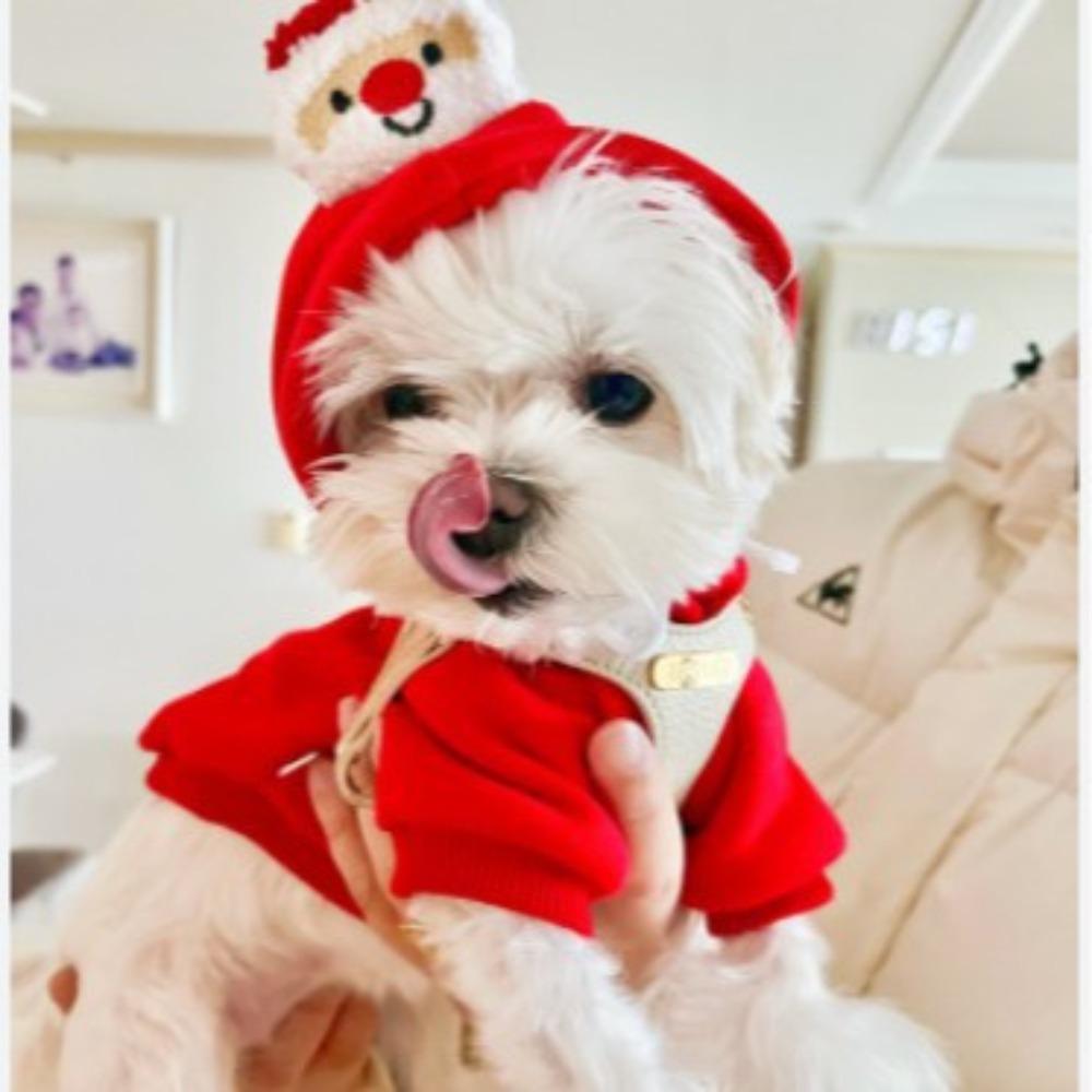 Pet dog cat sweater autumn and winter new teddy fight medium dog Christmas cat supplies clothes