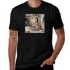 Top – T-shirts