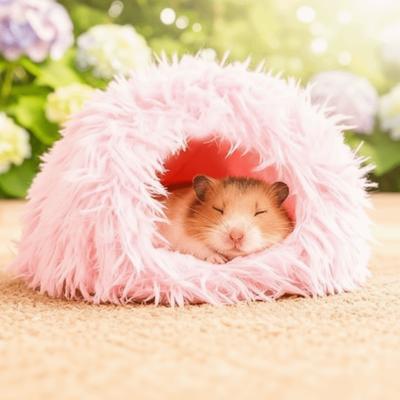 מוצרים לחיות מחמד – מכרסמים