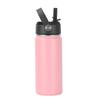 16oz 304 Stainless Steel Water Bottle, Double Wall Vacuum Insulated Sports Flask with Flip Straw Lid & Carry Handle