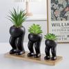 Nordisk Minifigur Suckulent Blomkruka Bordsdekoration Grön Växt Keramisk Figur Prydnad Hemhantverk Blomvas Inredningsdekoration