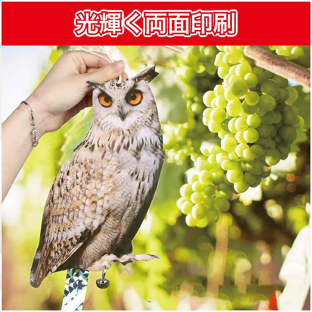 Hyack Bird Repellent, Owl Repellent, Pigeon Repellent, Crow Repellent, Bat Repellent, Owl Repellent (Owl 1) [Parallel Import]