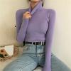 Women Knitting Tops Turtleneck Long Sleeve Solid Color Bottom Sweater Slim Fit Knitting Pullover Tops Autumn Winter Wear