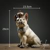 Krone Bulldogge Statue Simulierte Tierornamente Schreibtischdekoration Moderne Handwerkskunst Gentleman Welpen Skulptur Raum Ästhetische Dekoration
