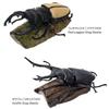 COLORATA Stag Beetle 3D Illustrated Book Types Explanation Realistic Figure Birthday Present Gift Sanitation Law Figure Box Beetle Christmas Present