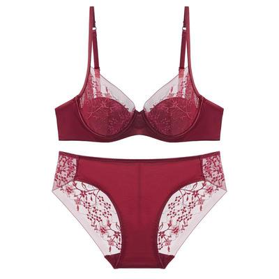 Elegant French-Style Lace Lingerie Set: Embroidered Red Bra for Women