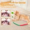 Pack of 3 Catnip Toys for Cats, 70 Cm Catnip Stick and Teething Rope, Interactive Dental Care Toys, Natural Catnip Filled