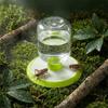 Clear Bottle Reservoir Insect Water Dispenser Perforated Base Insect Waterer  Daily Hydration