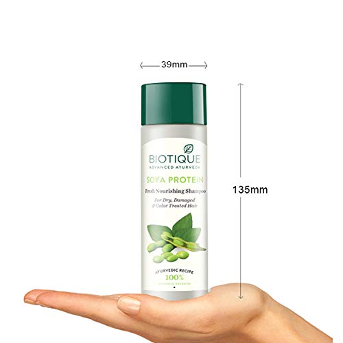 Biotique Sojaprotein Shampoo für trockenes, geschädigtes Haar 120ml pH-Balance Gesunder Glanz Farbschutz Natürliche botanische Extrakte