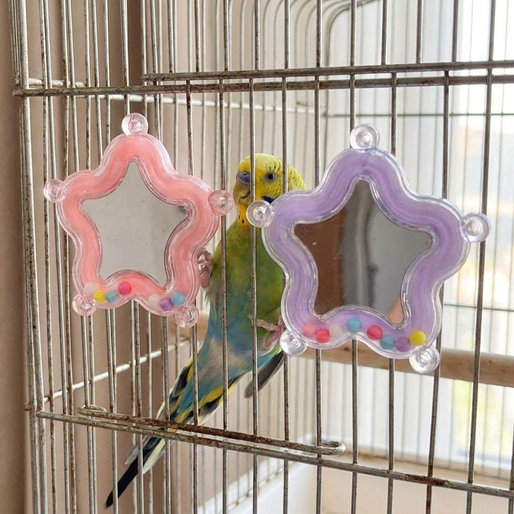 Colorful Beads Star Rotating Parrot Mirror Toy Mirror Parrot Interactive Toy  Bird Supplies