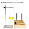 Steel Tuning Fork Set: 256Hz, 512Hz, 440Hz with Hammer - Perfect for Junior High School Physics and Acoustics Experiments